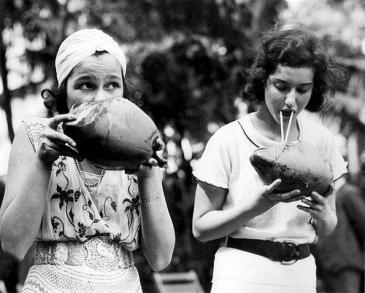 These two Hawaiian tourists from 1933 enjoy drinking coconut milk as much as I do. I'm not sure why the lady on the right decided to try the walrus technique but I commend her for it.